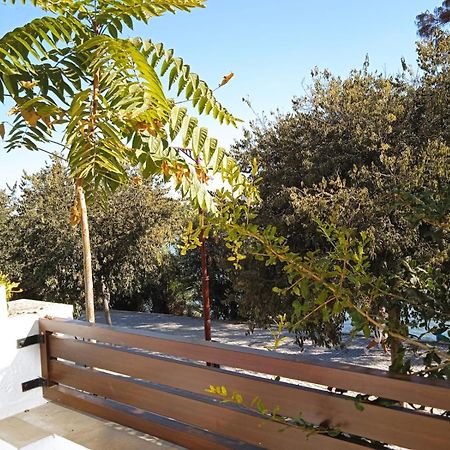 Terraza De Triana Daire Sevilla Dış mekan fotoğraf