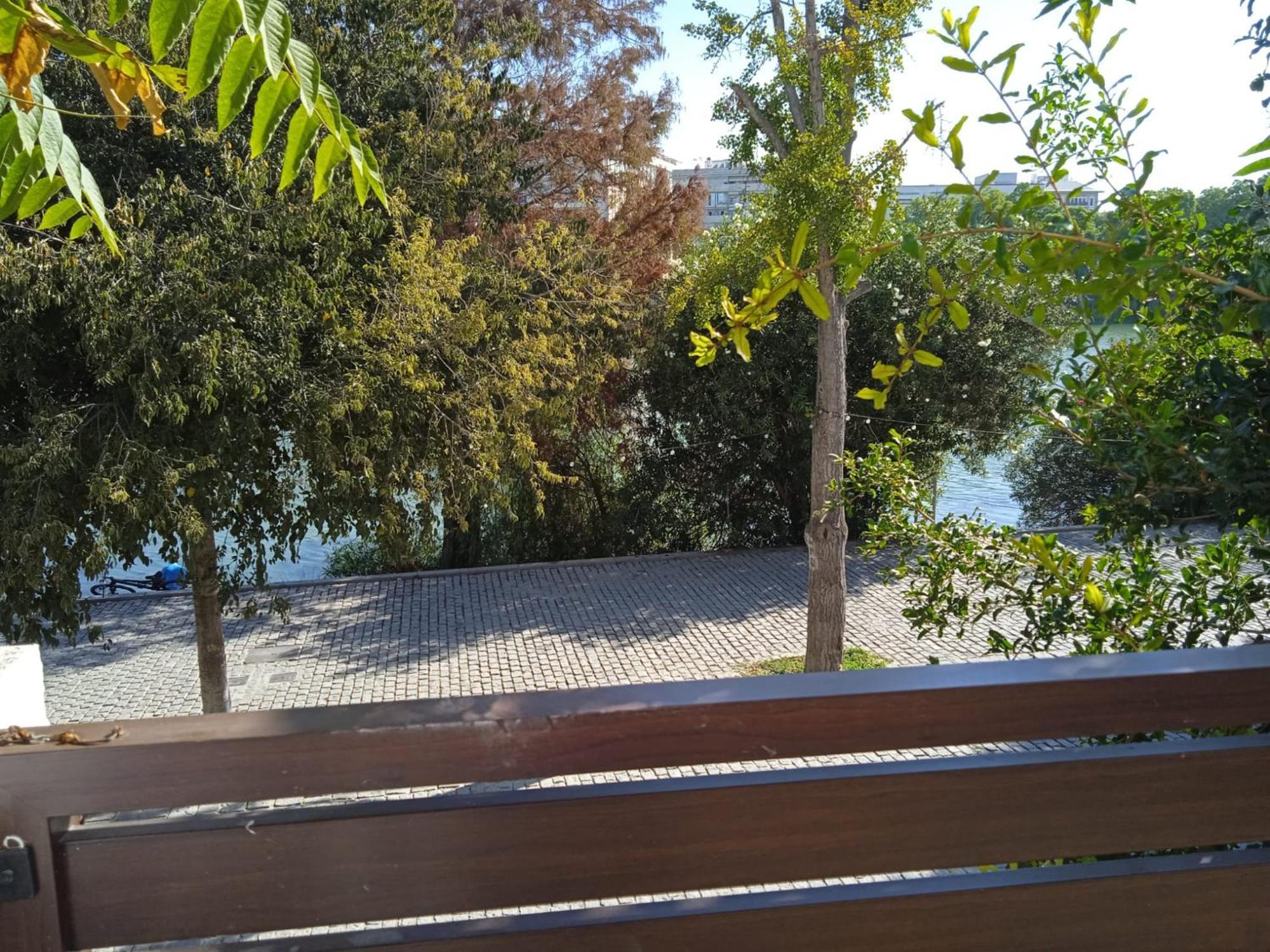 Terraza De Triana Daire Sevilla Dış mekan fotoğraf